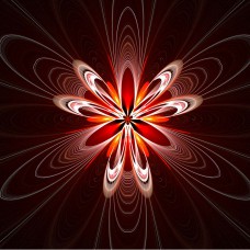 FRACTAL ART DESIGN GREETING CARD Floral Spiral 2